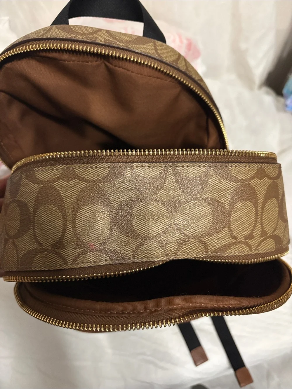 Coach Signature Canvas Backpack